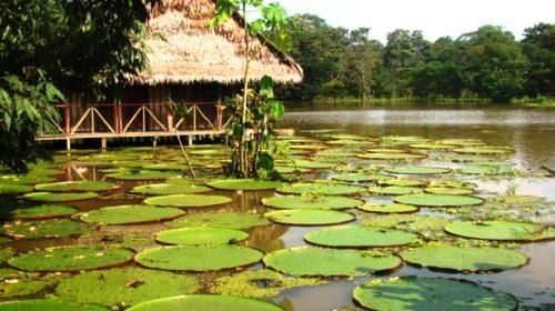 Amazonas Colombiano